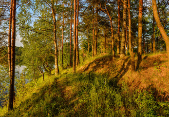 Fototapeta premium Summer sunset on the Bank of the quarry. The fading light of the sun.