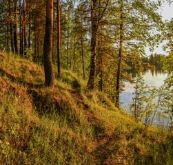 Fototapeta premium Summer sunset on the Bank of the quarry. The fading light of the sun.