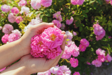 Beautiful young woman posing near roses in a garden.