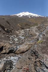 Top of Mt.Fuji with snow and Mt.Fuji natural recreation forest trail in spring