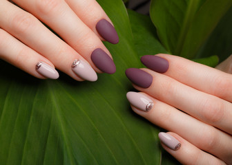 Tender neat manicure on female hands on a background of green leaves. Nail design - obrazy, fototapety, plakaty