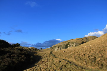 Fototapeta na wymiar Te Mata Peak, New Zealand