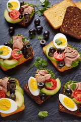 toasts with canned tuna, vertical view
