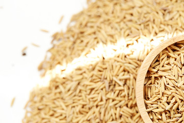 Brown paddy rice closed up