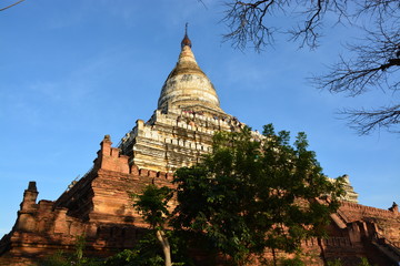 Fototapeta premium ミャンマーバガンのシュエサンドーパゴダ