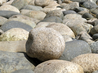 Pebbles close-up in sunny day. Smooth beach stones background