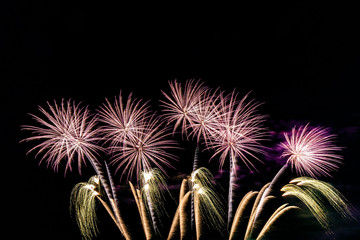 Abstract colourful  firework background 