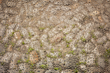 Close up of a water drops on the gray stone floorbackground, covered with drops of water -condensation.