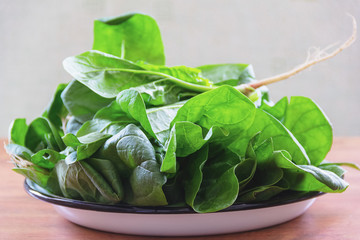 Young fresh spinach
