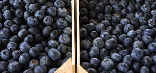 Blueberry from home grown