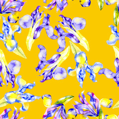 Flower pattern. Beautiful, airy, mature, feminine irises. Watercolor. Illustration