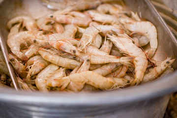bucket full of shrimps at a local fish market somewhere in the south of india