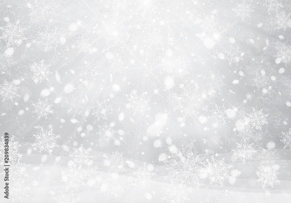 Wall mural vector winter, silver snowflakes background. christmas background.