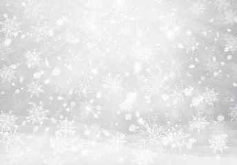 Fotobehang Vector winter, silver snowflakes background. Christmas background. © rvika