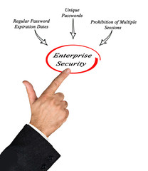 Components of Enterprise Security