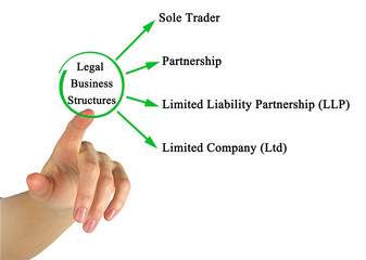 Legal Business Structures