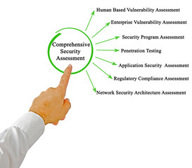 Comprehensive Security Assessment.