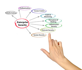 Fototapeta premium Enterprise security