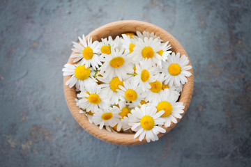 camomile or chamomile flowers