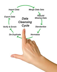 Data Cleansing Cycle.