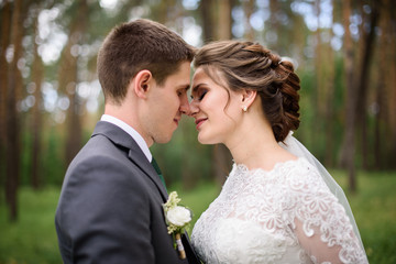 wedding. beautiful couple kissing outdoor