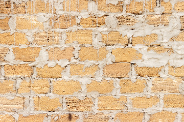 brick from shells Texture background , wall is made of shells brick.