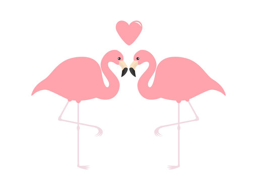 Flamingo couple Pink heart. Exotic tropical bird. Zoo animal collection. Cute cartoon character. Love greeting card. Flat design. Valentines day symbol. White background