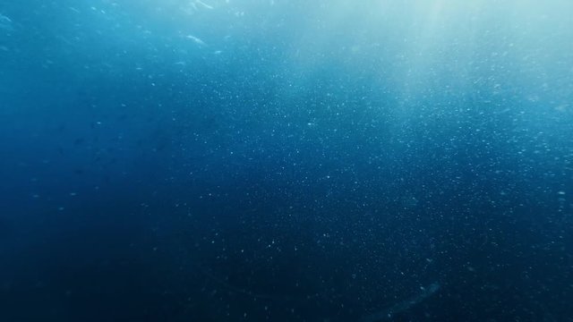 Underwater background in blue ocean