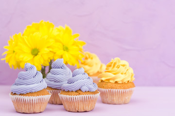 Cupcakes decorated with yellow and violet cream and bouquet of chrysanthemums on violet pastel background with text area for greeting banner.