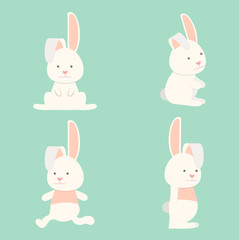 Flat Funny  bunny collection