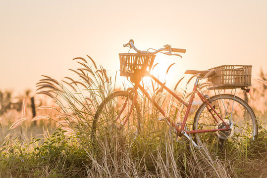  bicycle at sunset
