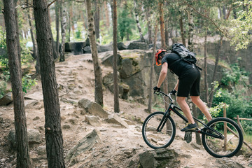 side view of male extreme cyclist in protective helmet riding on mountain bicycle in forest