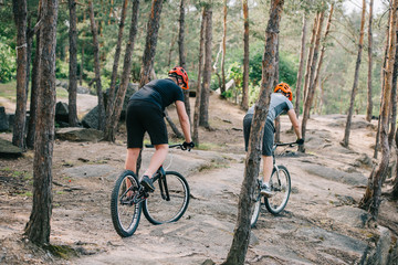 Fototapeta premium rear view of male extreme cyclists in protective helmets riding on mountain bicycles in forest
