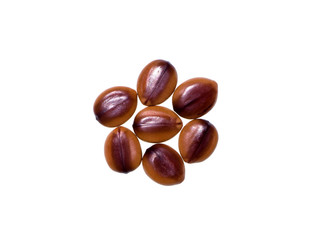Cassia fistula seed