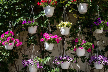 Fototapeta na wymiar Artificial colorful flowers pots hang on the wall