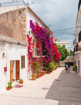 turistas paseando por las calles blancas de Dalt Vila en Ibiza, Espa&ntilde;a. Casas blancas tipicas, decoradas con flores de la isla