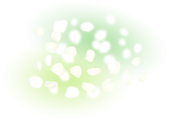 ガーデンウエディング　フラワーシャワー