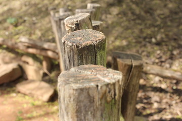 fence, wood, old, nature, wooden, green, wood, log, stump, outdoor, wall