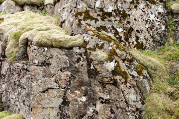 Typical Iceland landscape. Stones covered with green moss
