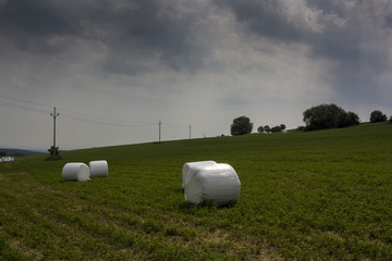 before the storm