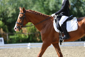 Unknown contestant rides at dressage horse event indoor in riding ground