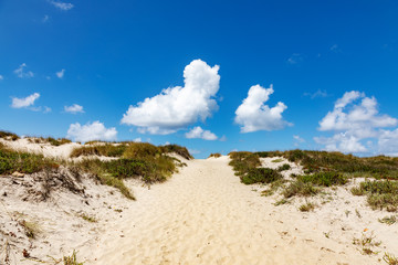 Dune beach at Costa Nova in Portugal