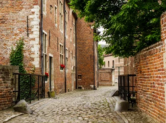 Deurstickers Old belgian street with brick house in Groot Begijnhof Leuven © katspi