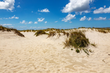 Dune beach at Costa Nova in Portugal