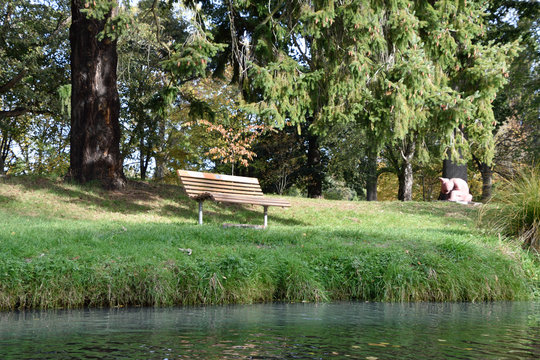 The bank of the river with a bench in autumn