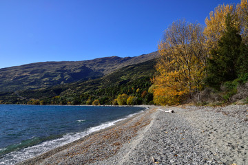 Queenstown , NEW ZEALAND - May 3, 2016: Queenstown in the fall