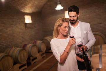Wine loving couple degustating wines