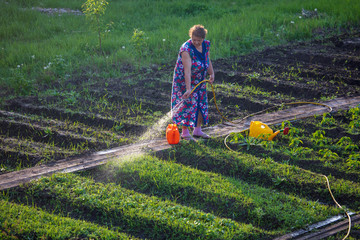 Woman watering the garden with a hose