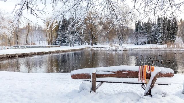Beautiful winter greeting card with slow motion snowfall First snow in the city park with ducks on an icy pond and a bench covered with snow