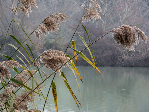 river, wildlife and naturalistic oasis